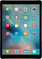 iPad Pro 12.9 (1-го поколения)
